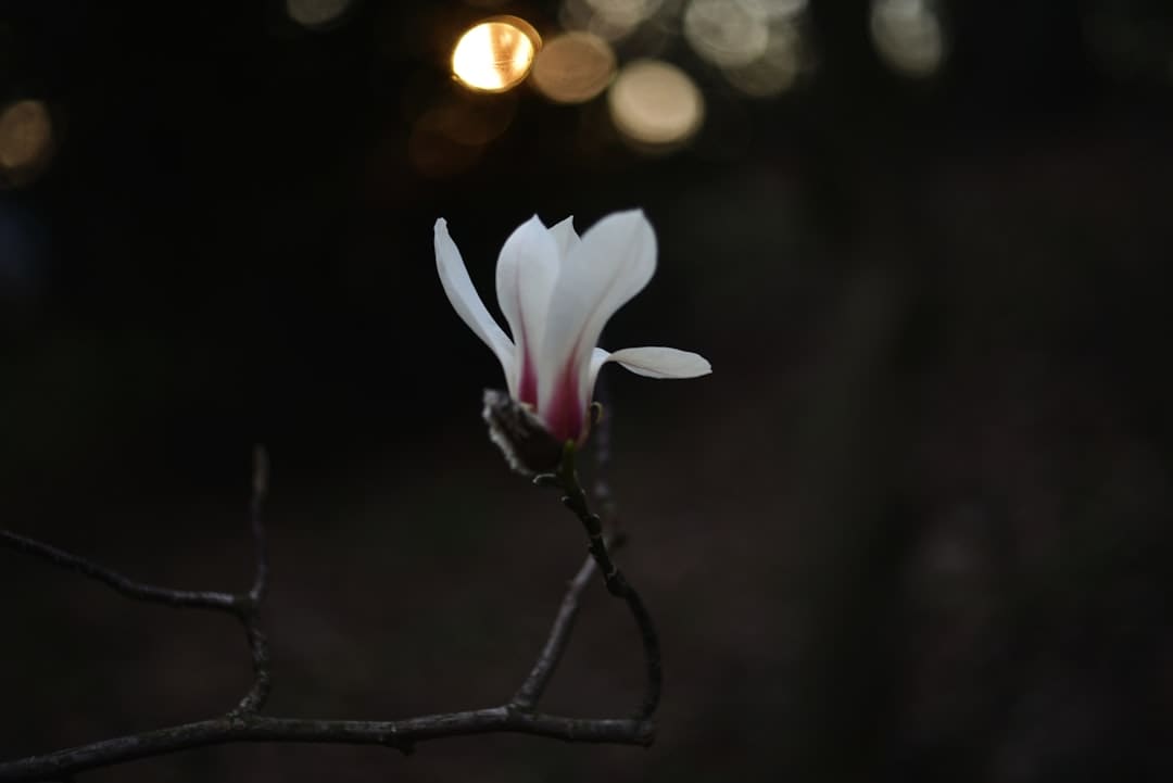 泉州南音：听一曲南音 品千年高雅